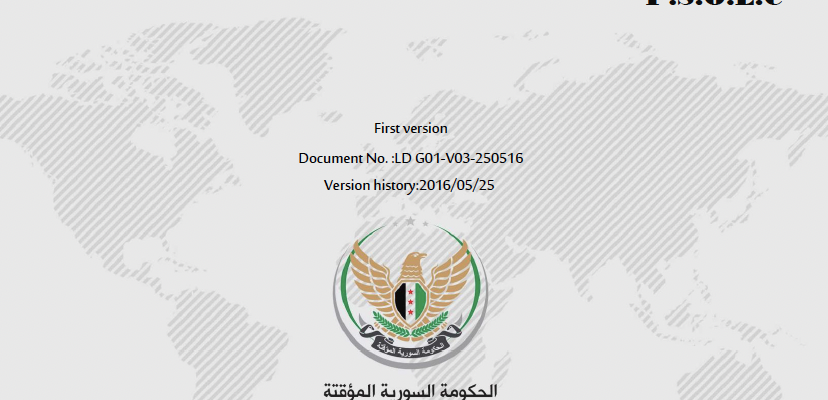 Project of performance standards for local councils in Syria